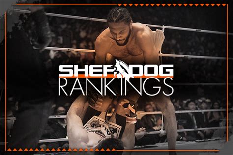 Sherdog’s Official Mixed Martial Arts Rankings .